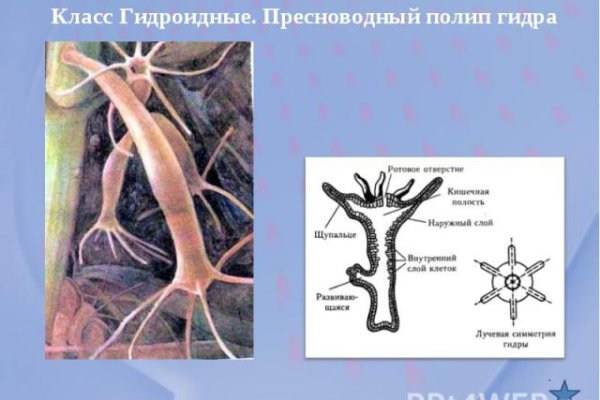 Восстановить аккаунт кракен